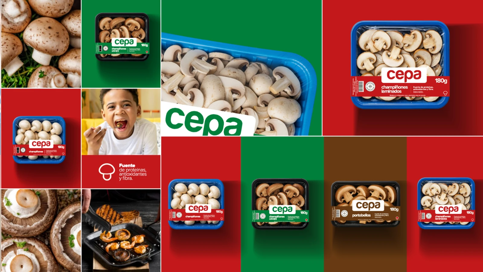 CEPA, packaging renovado por Auramotiv
