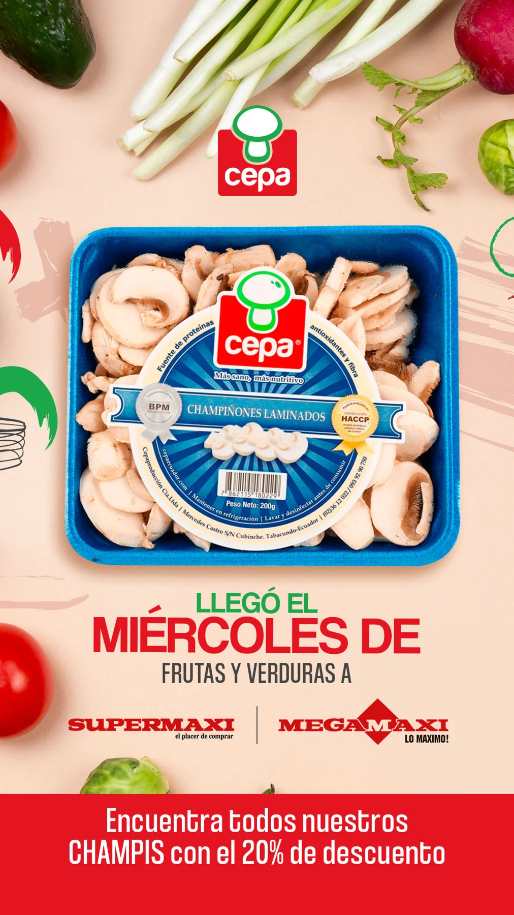 Empaque original CEPA anterior al rebranding, aislado de la pieza suministrada
